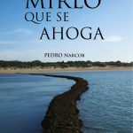 El Mirlo que se Ahoga El Mirlo que se Ahoga
